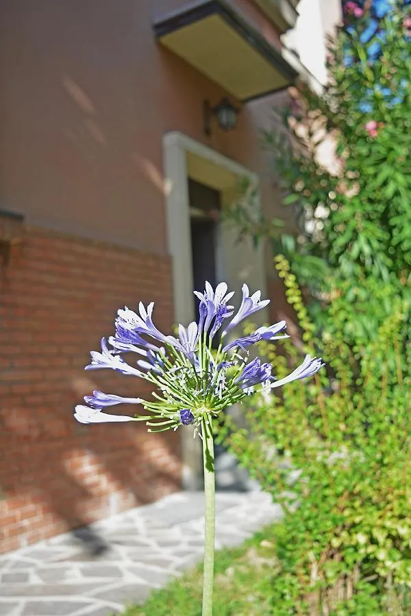 Bondi900 - Tigli Apartment Bologna